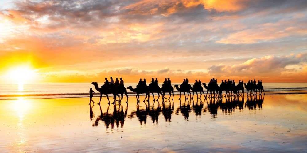 Camel ride sunset cable beach